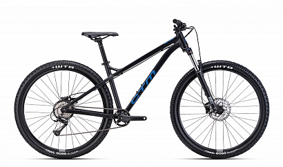 CTM Zephyr 29 2024