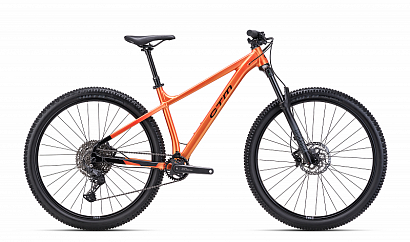 CTM Zephyr Expert 2025